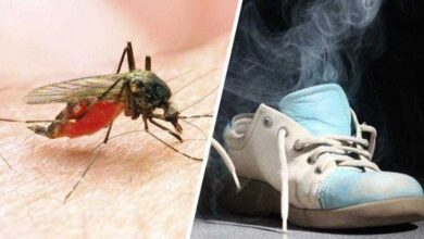 5 coisas que você pode fazer com o desodorante e não sabia