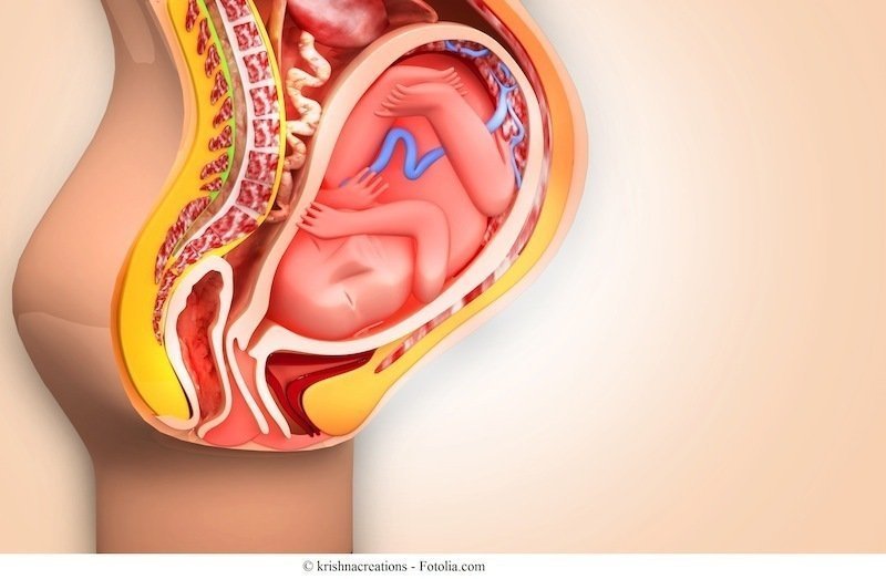 1749682928 396 11 coisas que acontecem apenas no corpo feminino