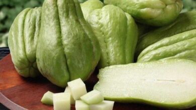 1749683925 17 beneficios incriveis do chuchu para ter uma saude de 17 benefícios incríveis do chuchu para ter uma saúde de ferro