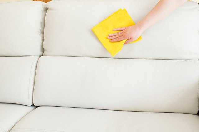 É possível retirar o odor dos animais domésticos dos estofados com o produto