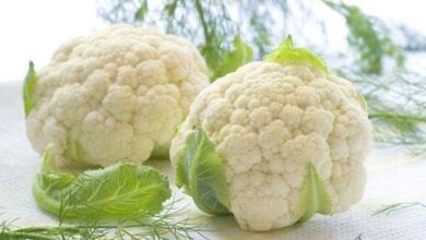 Os diversos benefícios da couve-flor