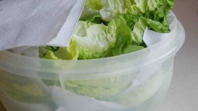 Truque para conservar o alface por mais tempo