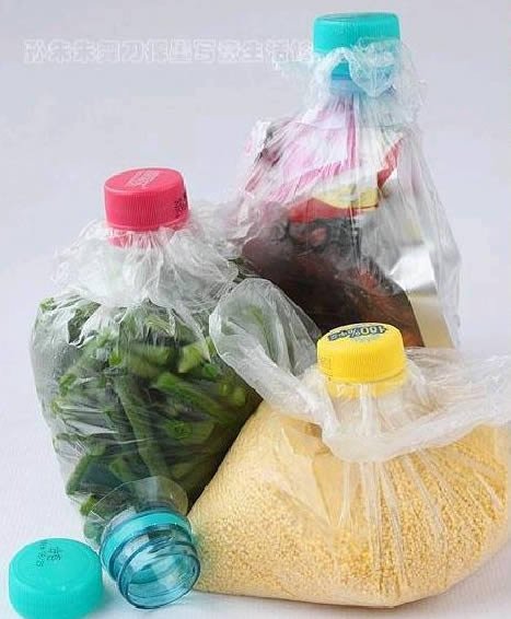 1749687539 400 Como conservar alimentos em garrafas PET Como conservar alimentos com Garrafas PET