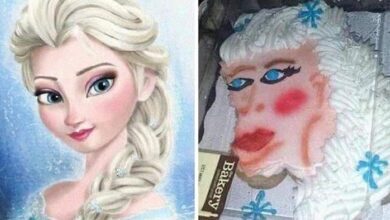 22 vezes que as pessoas tentaram fazer algo sozinhas, mas não saiu como o esperado