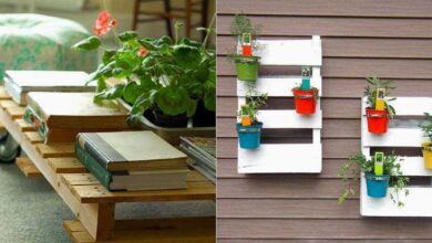 Dicas e ideias para reciclar paletes