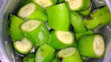 Mistura de BANANA VERDE controla a diabetes, reduzi o peso e níveis de colesterol