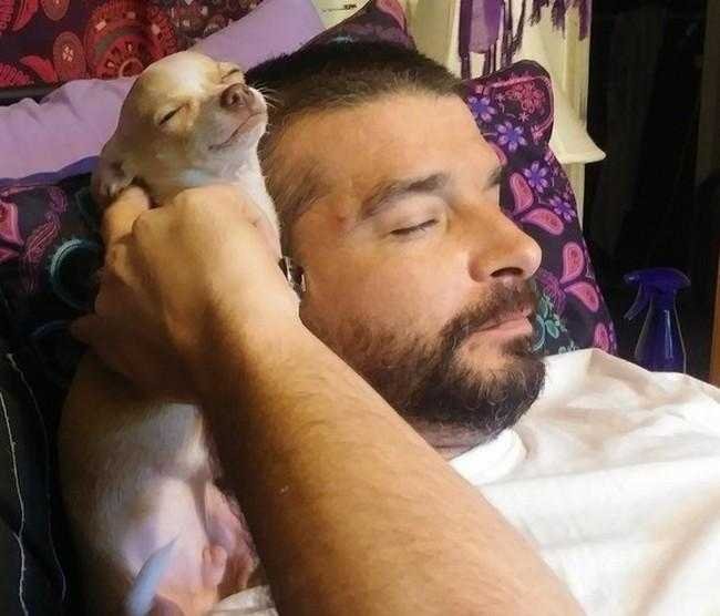 1749702908 865 24 Fotos provando que os chihuahuas sao sim fofos e