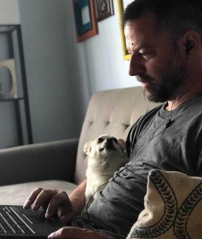 1749702909 674 24 Fotos provando que os chihuahuas sao sim fofos e