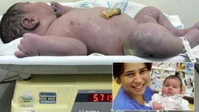 Bebezão de quase 6kg tem alta de hospital após nove dias: 'Muito contente', diz mãe