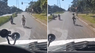 [VÍDEO] Atropelamento de ciclista em Campo Grande gera polêmica após fala de caminhoneiro; confira