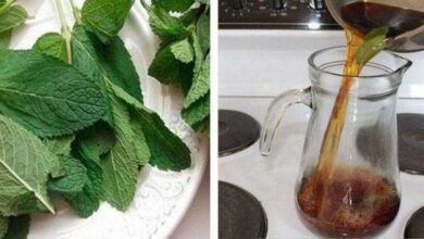 Bebida natural para deixar seu fígado novinho em folha