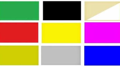 Qual é sua cor favorita? Ela revelará quem você é