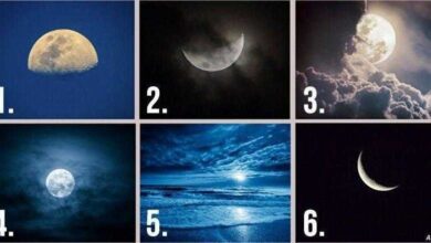 Escolha uma lua e ela revelará seus pensamentos escondidos