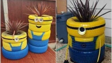 16 Ideias para reaproveitar pneus no seu jardim