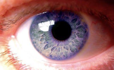 1749733388 573 As 5 cores de olhos mais raras do mundo olhos violeta