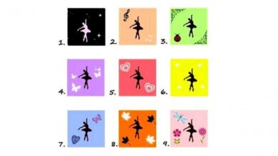 Escolha uma bailarina e descubra mais sobre sua personalidade