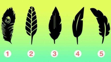 Escolha uma pena e veja a linda mensagem de Jesus para você