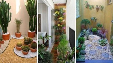 1749753551 23 Ideias maravilhosas de jardim de inverno para se inspirar 23 Ideias maravilhosas de jardim de inverno para se inspirar