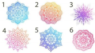 Escolha uma mandala e descubra do que o seu espírito precisa para evoluir