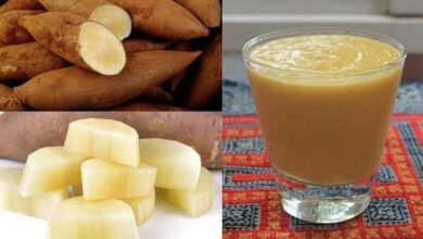 Suco de batata yacon controla diabetes, ajuda a emagrecer e previne câncer de intestino