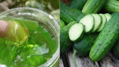 Gel de Pepino e Aloe Vera