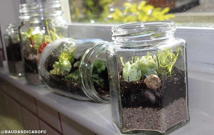 1749783348 342 18 Ideias de terrarios belissimos para se inspirar blank