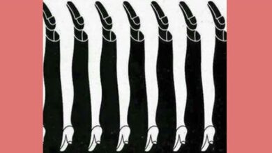 Desafio: quantas pernas você vê na foto?