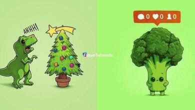 12 desenhos sobre o dia a dia que vão te divertir