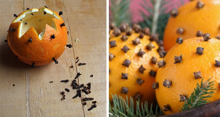 1749881587 526 7 motivos para nao jogar cascas de laranja fora arancia-chiodata