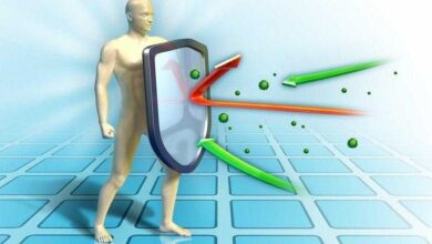 Como reforçar a imunidade para dificultar a contaminação pelo coronavírus