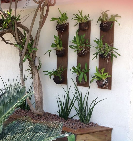 Jardins verticais lindos para inspiração