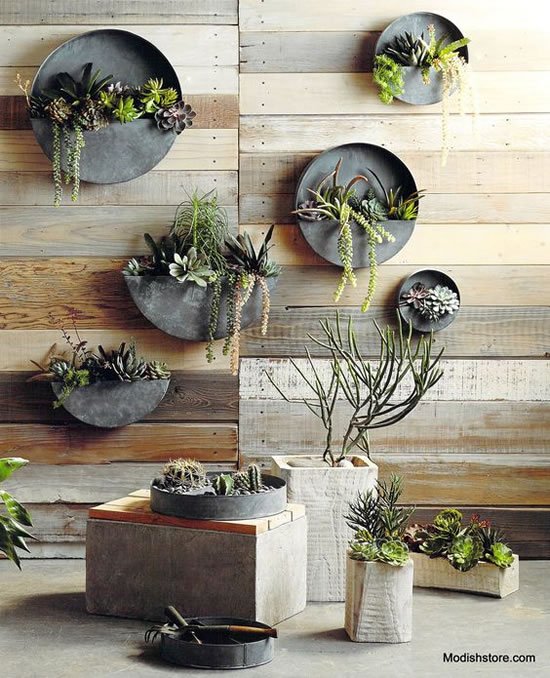 Jardins verticais lindos para inspiração