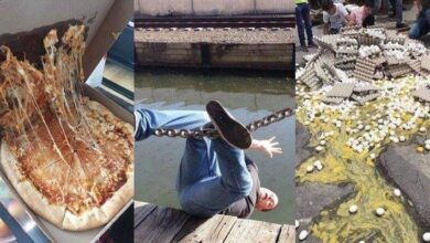 20 fotos que são a própria definição de um dia bem ruim