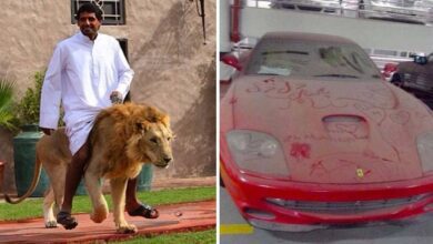 15 fotos que revelam o luxo obsceno de Dubai