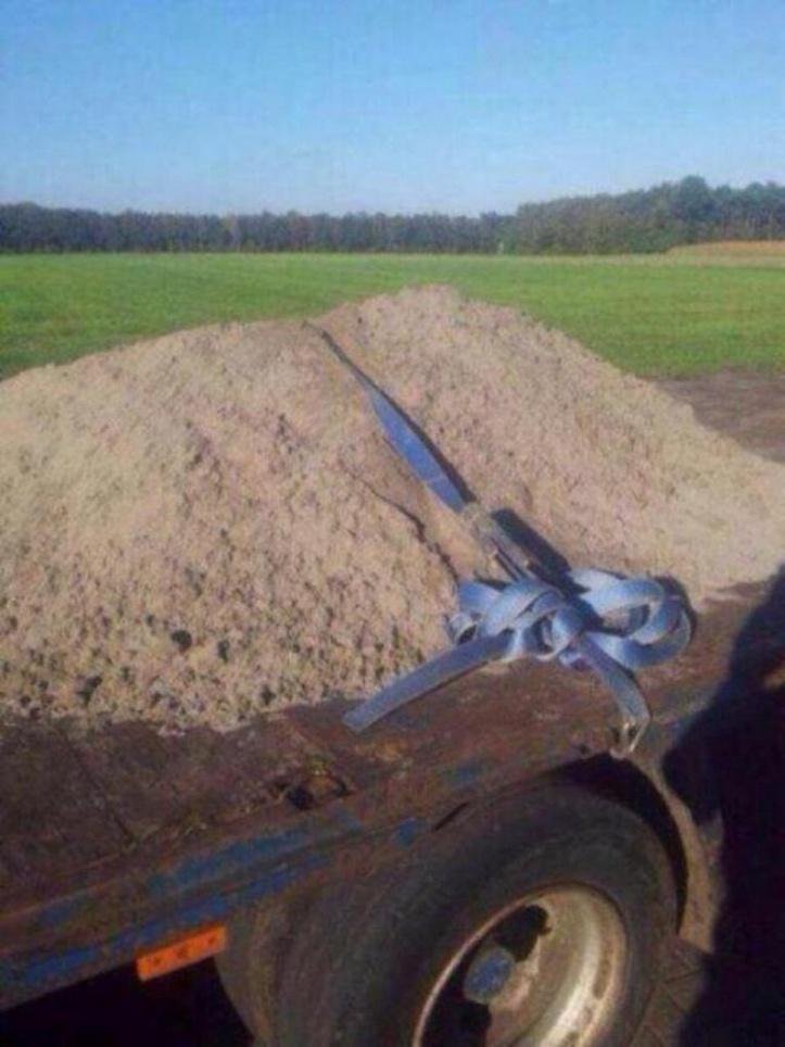 1749908834 503 25 momentos em que pessoas e animais falharam de forma