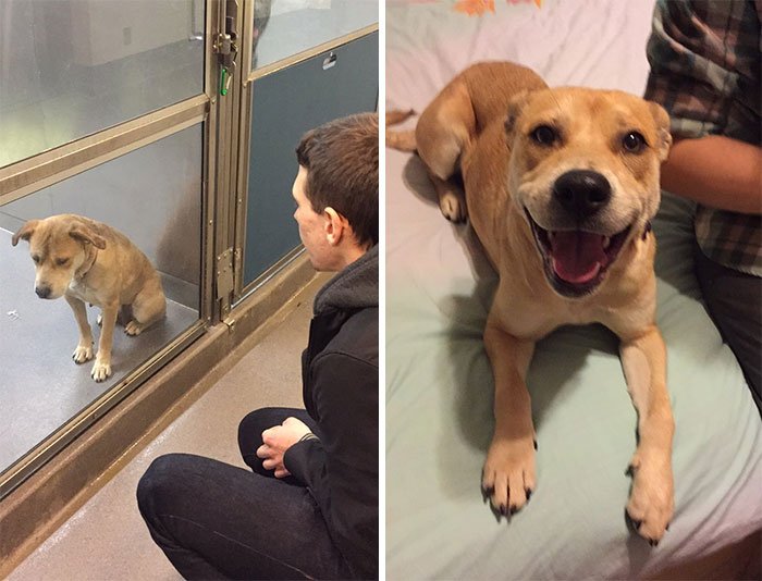 50 vezes que as pessoas postaram fotos incríveis de antes e depois online