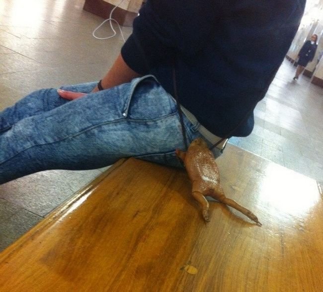 1749916528 112 20 Pessoas que tentaram ficar na moda mas tinham um