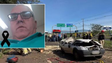 Identificado motorista que morreu após árvore cair em cima de carro