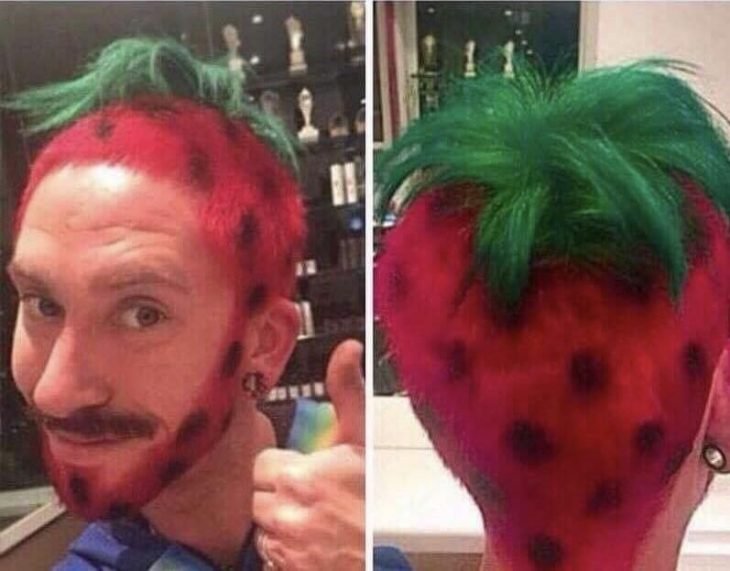 1749918859 761 15 pessoas com os cabelos mais engracados da historia