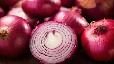 Cebola roxa é potencia anti-diabetes e antibiótico que ajuda a controlar a glicose