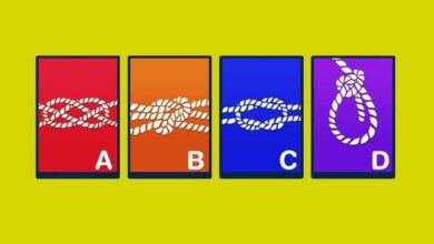 Qual o nó mais forte? Digite e veja o que revela sobre sua personalidade