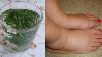 6 remédios caseiros para aliviar a dor e o inchaço nas pernas