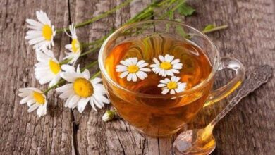 8 benefícios do chá de camomila para sua saúde