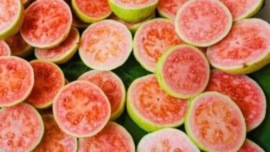 Goiaba previne câncer, aumenta imunidade, emagrece e muda sua saúde de mais 8 jeitos