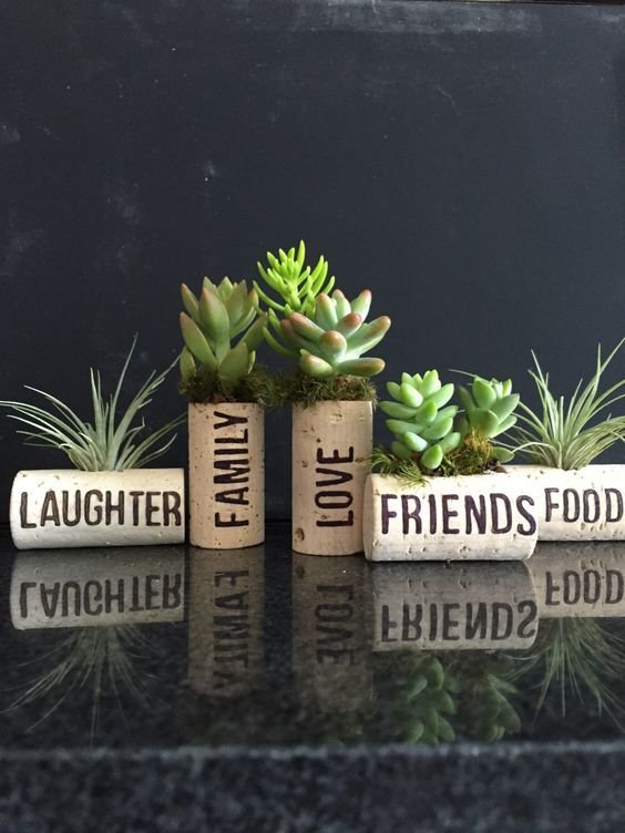 decoracao suculentas rolhas ideias