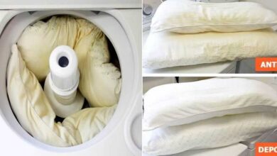 Truque para deixar travesseiros brancos como novos