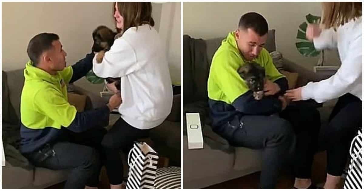 1749931296 418 Jovem se emociona ao ganhar caozinho como presente de aniversario