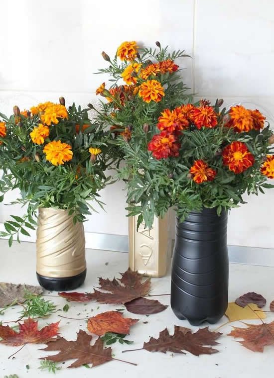 Vasos Lindos em Garrafas PET