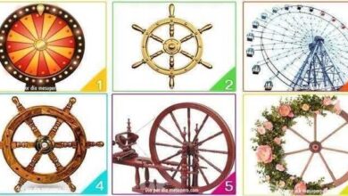 1749931956 Escolha uma roda e descubra quais mudancas vao acontecer na Escolha uma roda e descubra quais mudanças vão acontecer na sua vida nos próximos dias
