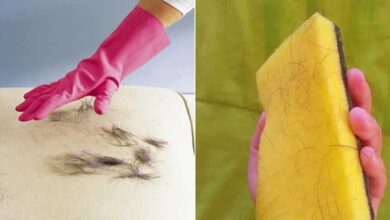3 Dicas de como remover pelos de animais do sofá